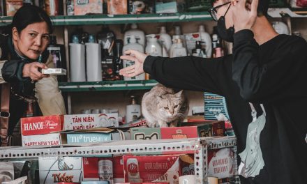 Ekonomi Global 2026: Mencari Peluang Di Tengah Perubahan Iklim