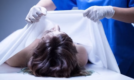 Otopsi Jalan Pengungkap Rahasia Yang Jarang Orang Ketahui!