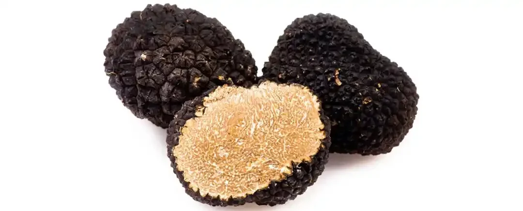 Keunikan Jamur Truffle Membuat Hidangan Anda Semakin Mahal