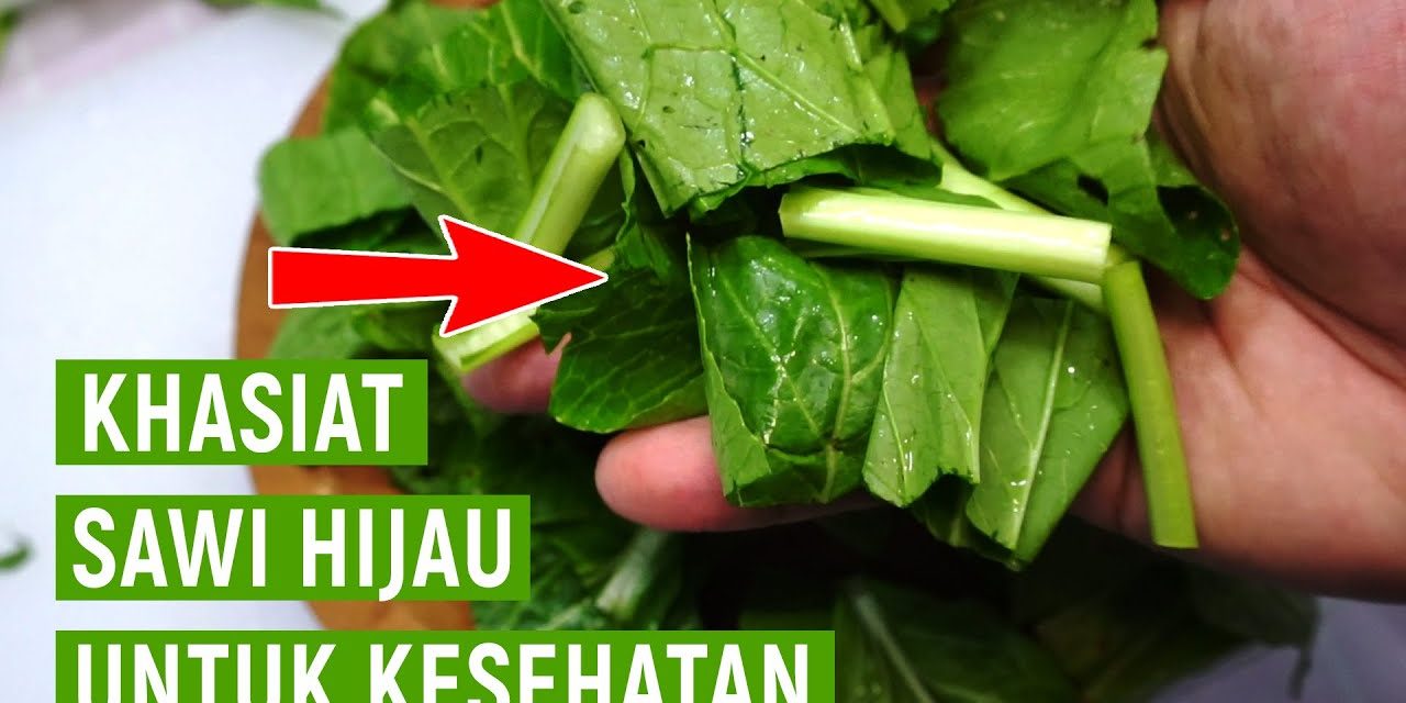 Manfaat Sawi Hijau Bisa Mencegah Pertumbuhan Sel Kanker Loh!