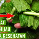 Manfaat Sawi Hijau Bisa Mencegah Pertumbuhan Sel Kanker Loh!