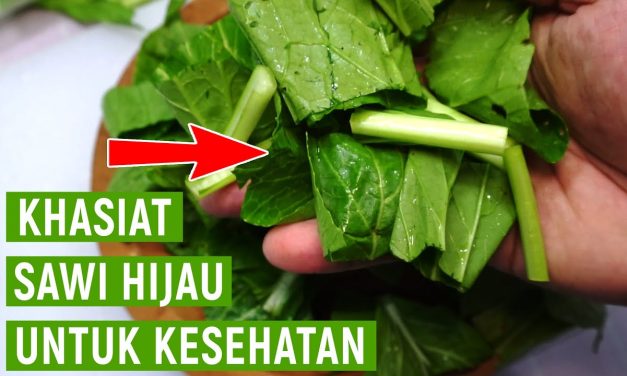 Manfaat Sawi Hijau Bisa Mencegah Pertumbuhan Sel Kanker Loh!