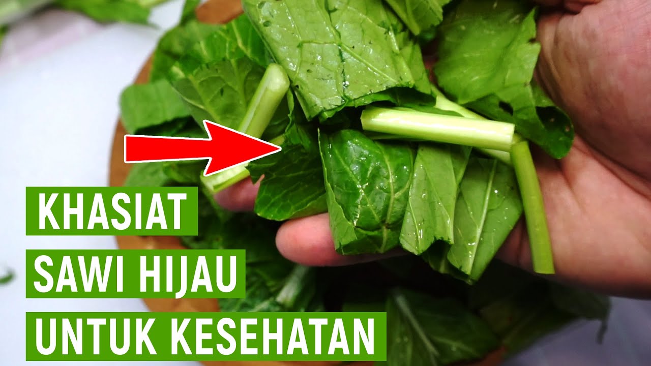 Manfaat Sawi Hijau