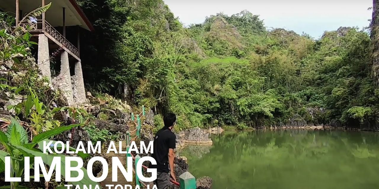 Kolam Air Limbong : Pesona Alam Air Hijau Di Sulawesi Selatan
