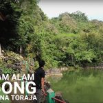 Kolam Air Limbong : Pesona Alam Air Hijau Di Sulawesi Selatan