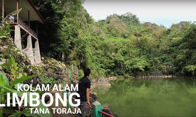 Kolam Air Limbong : Pesona Alam Air Hijau Di Sulawesi Selatan