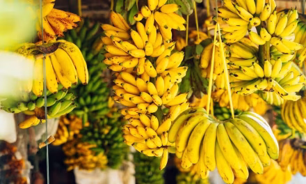Rahasia Pisang Sale Yang Manis Dan Gurih Alami