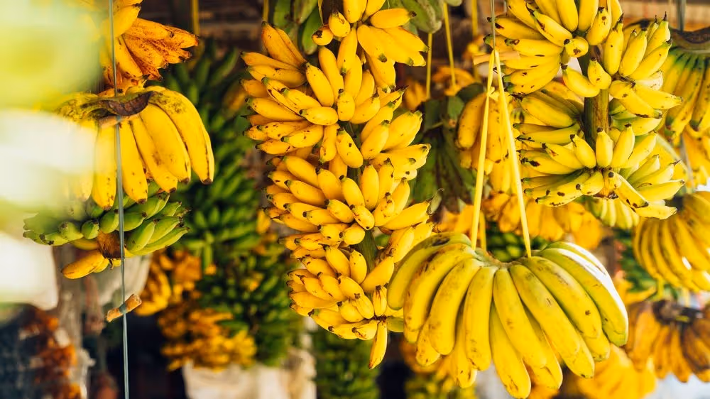 Rahasia Pisang Sale Yang Manis Dan Gurih Alami